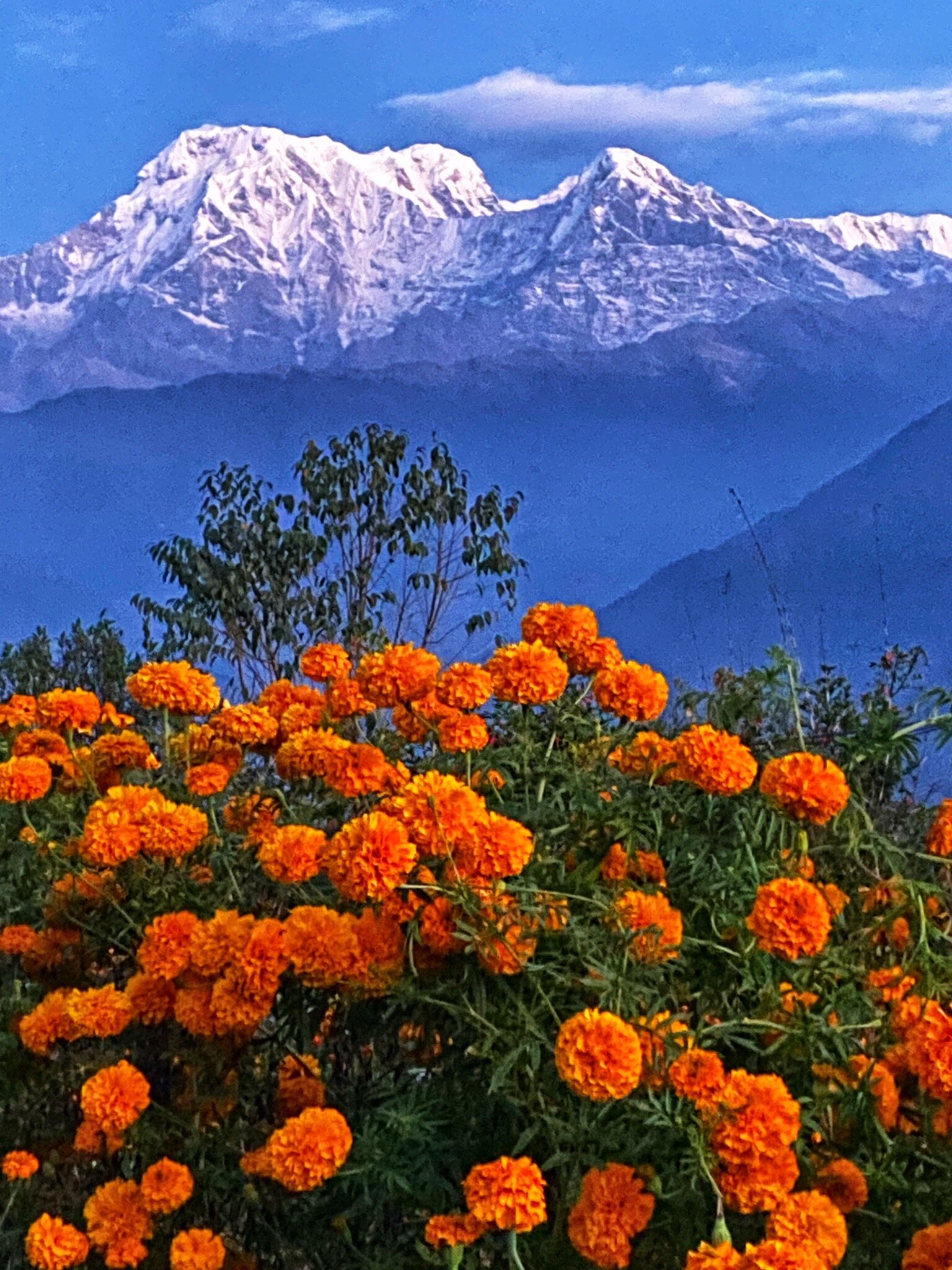 Annapurna Eco-Village-官方