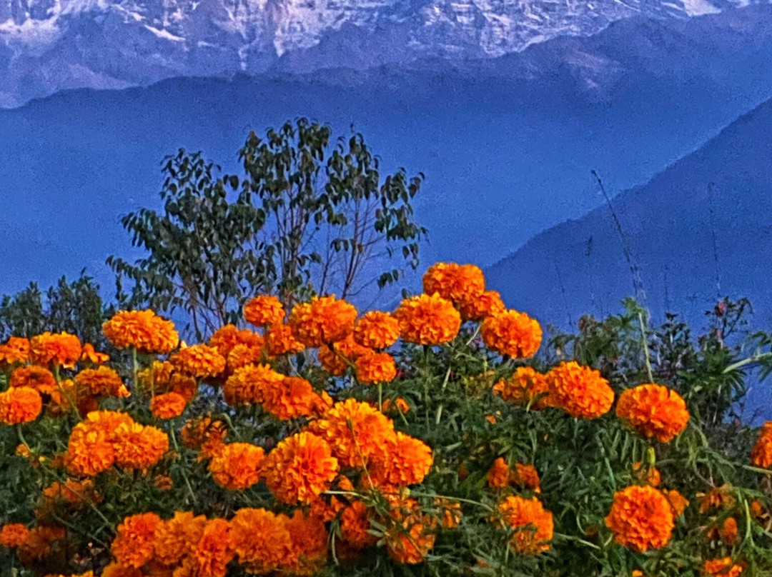 Annapurna Eco-Village主图