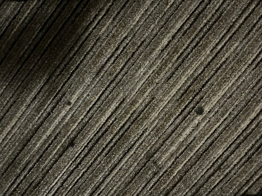 Holiday Inn Express & Suites Madison By IHG主图