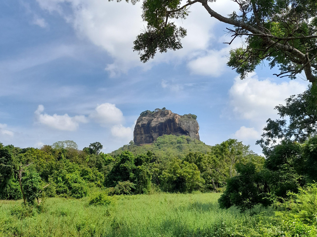 Smart Taxi & Tours Pasikudah-卡尔库达必去景点