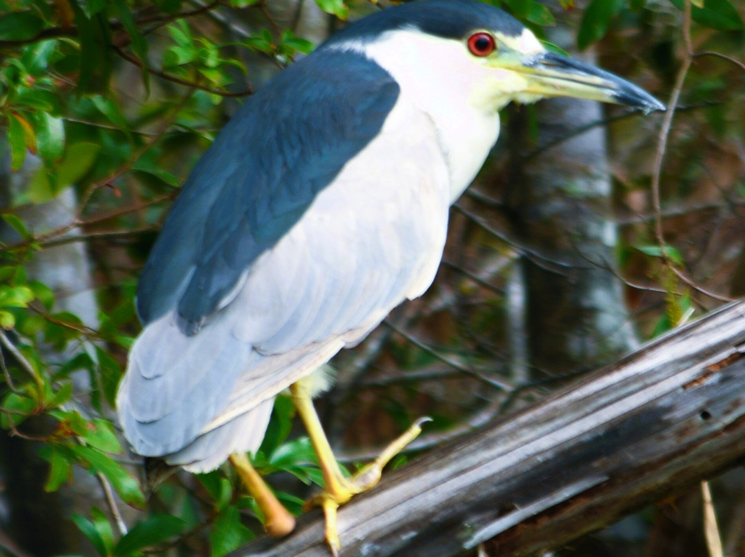 Stephen C. Foster State Park-Fargo必去景点