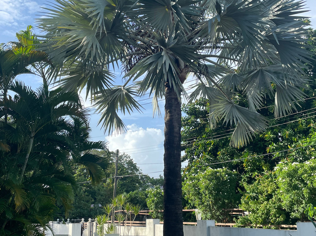 Dover Woods Guesthouse主图