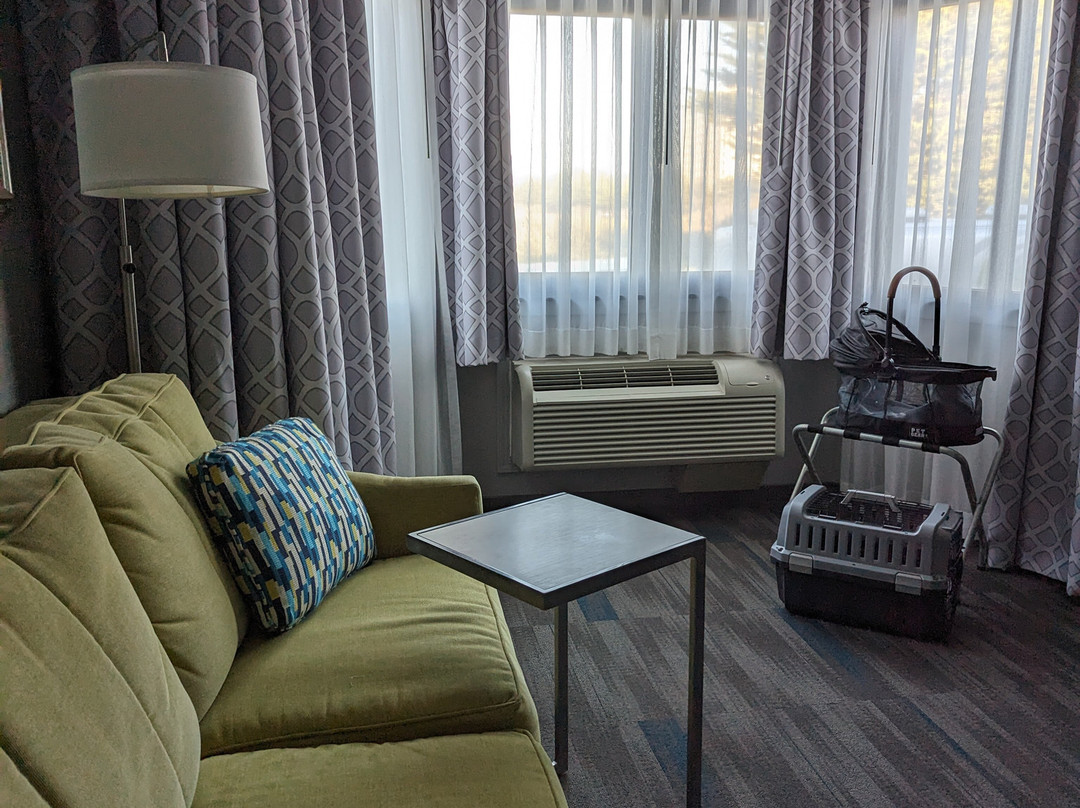 肖洛市派恩托普汉普顿套房酒店主图