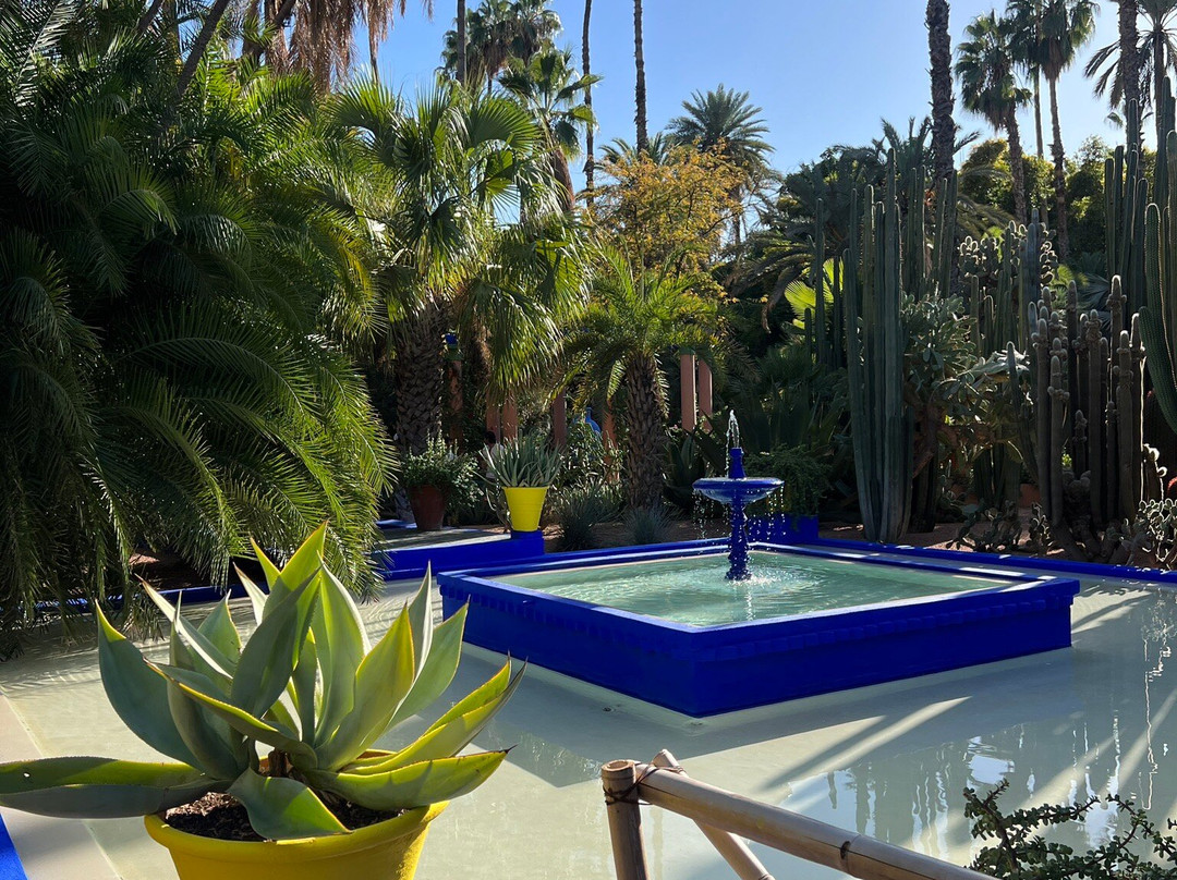 Morocco Tour Experience-马拉喀什必去景点