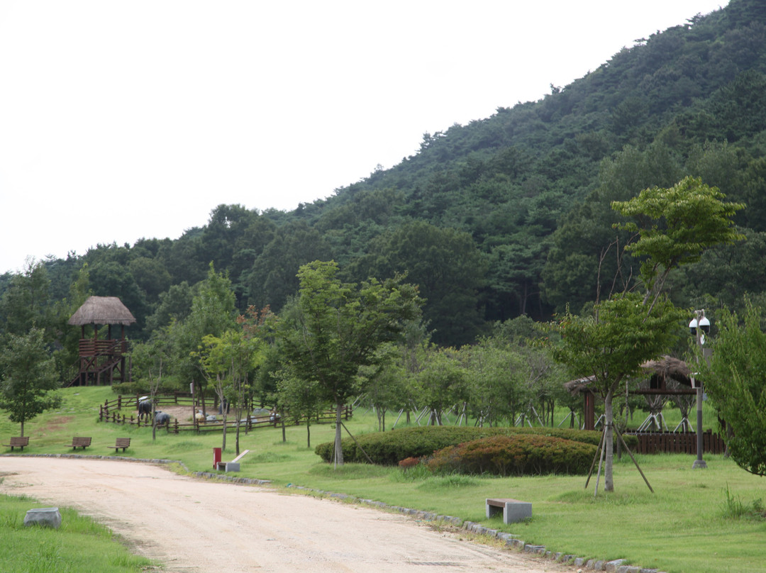 Gochang Dolmen Museum-高敞郡必去景点