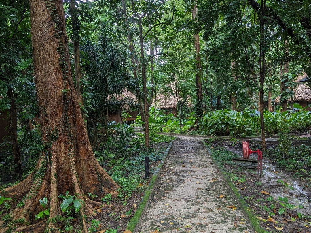 哈夫洛克赤脚酒店主图