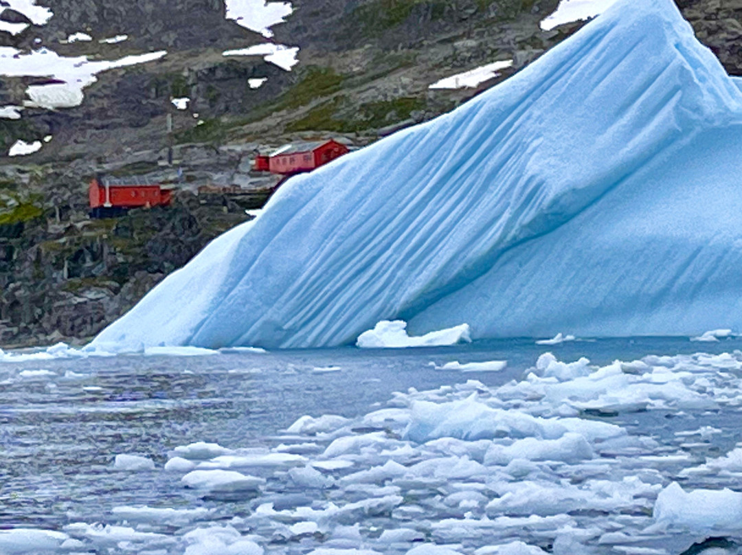 Cierva Cove-Antarctic Peninsula必去景点