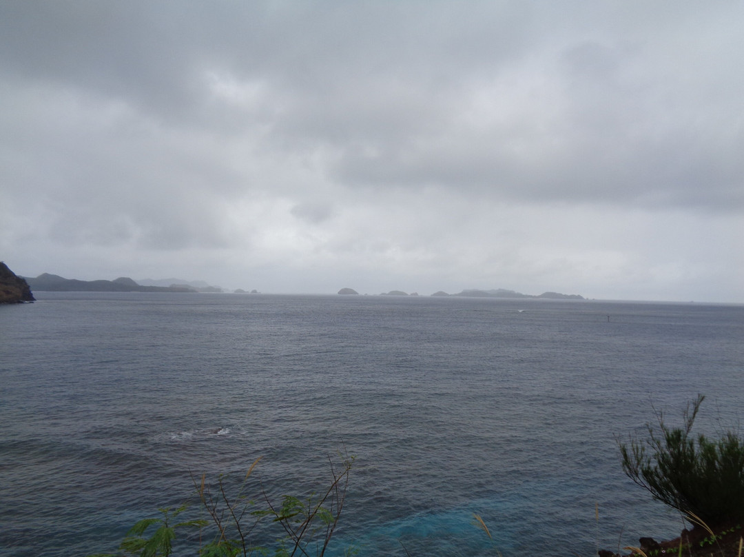 Hahajima Island-小笠原村必去景点