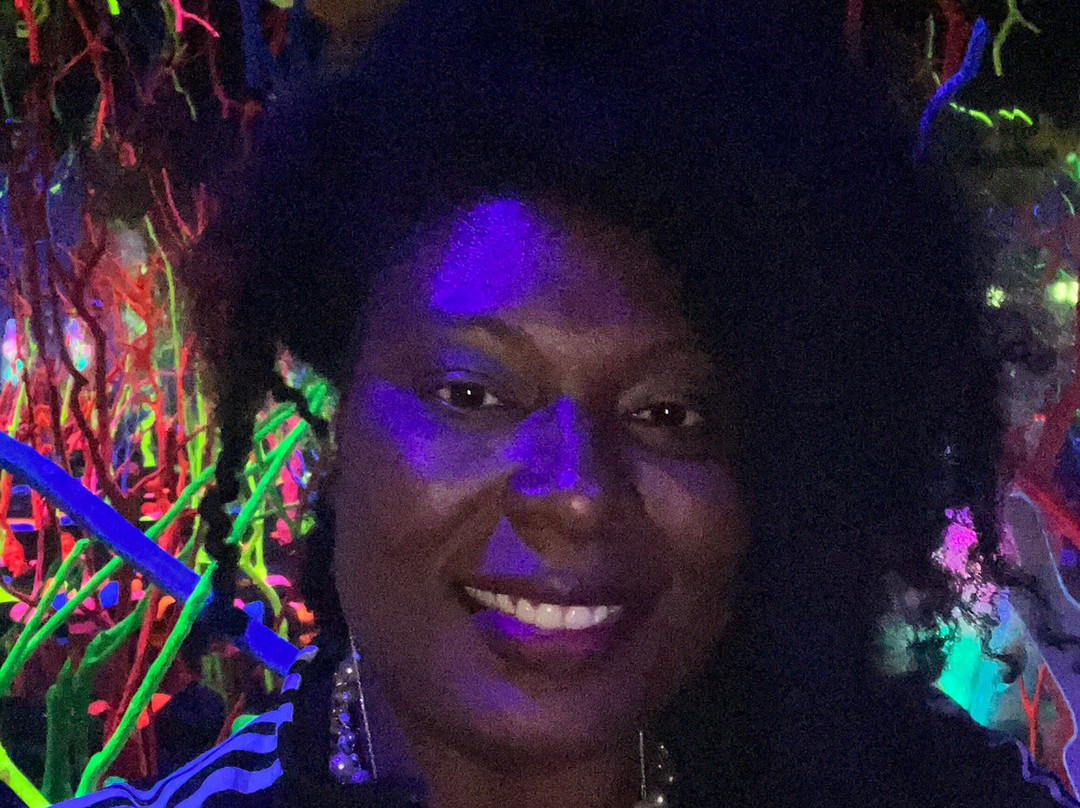 Meow Wolf Grapevine-葡萄藤必去景点