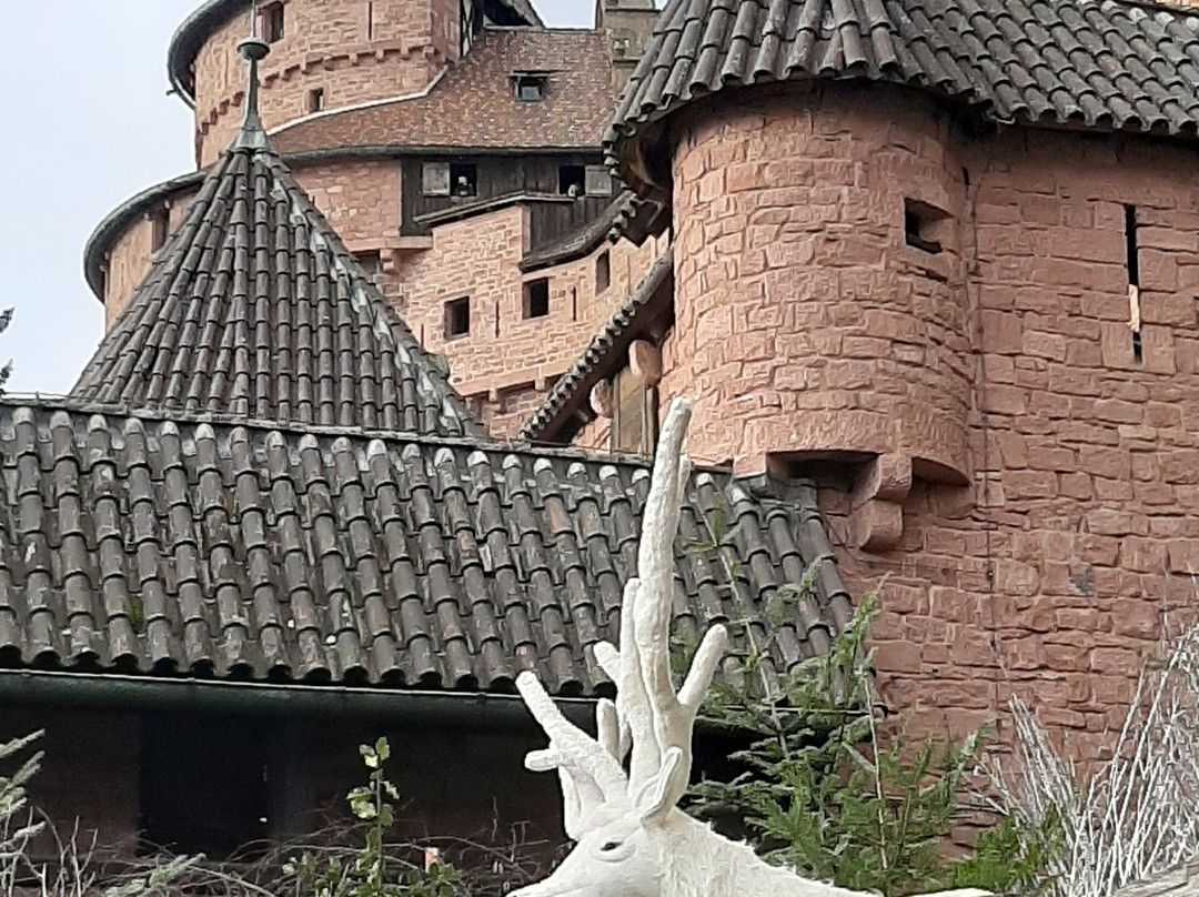 Château du Haut-Koenigsbourg景点图片