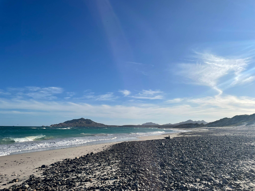 Cabo Pulmo Watersports-Cabo Pulmo必去景点