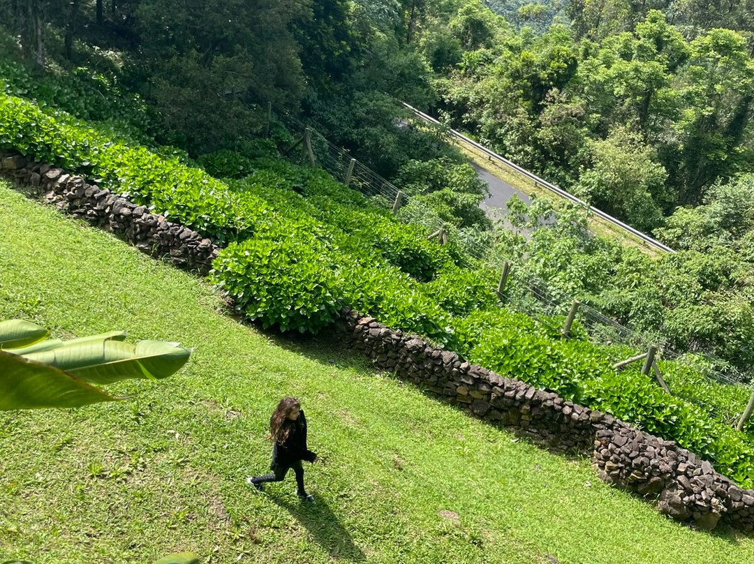 Hotel Jardins da Colina主图