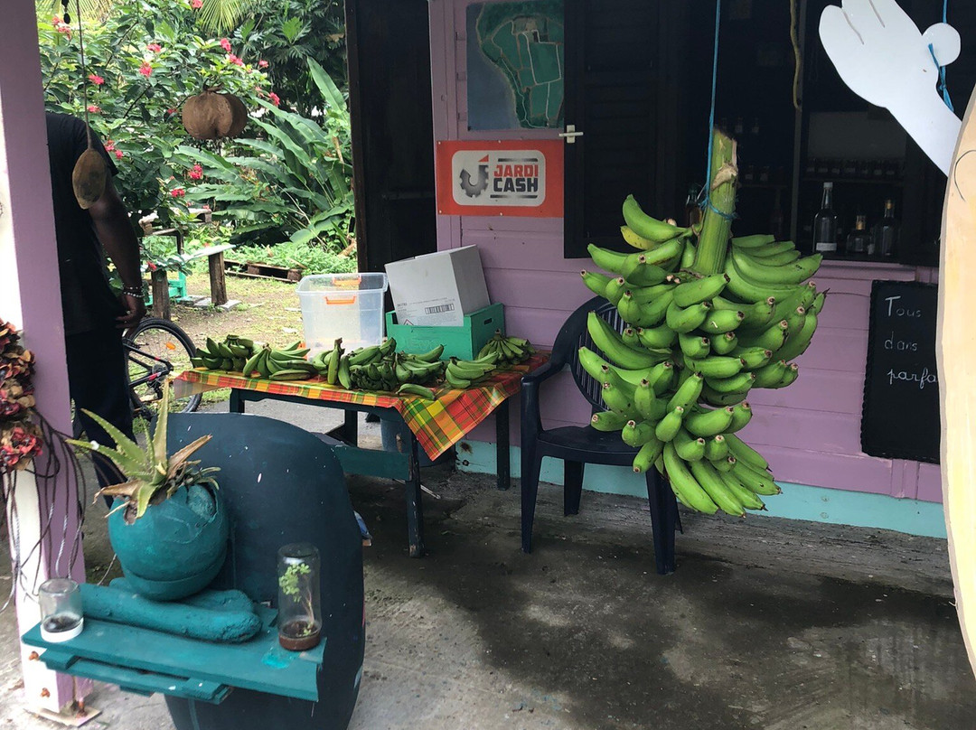 Sentier Nature Et Decouverte Chalvet-Basse-Pointe必去景点