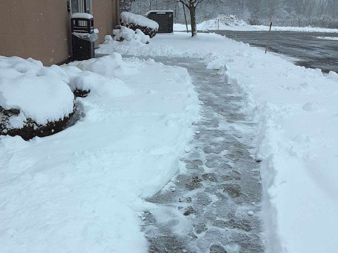 Comfort Suites Rochester Henrietta University Area主图