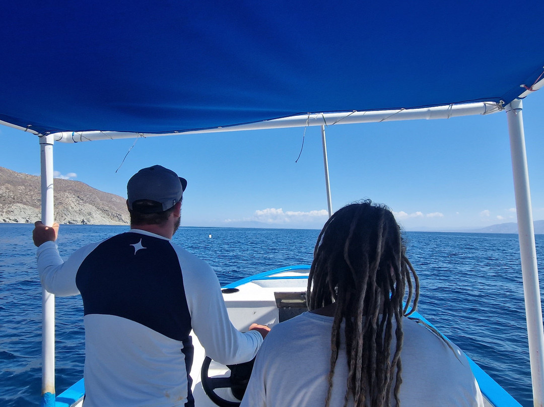 Ozean Dreamer Fleet-卡波圣卢卡斯必去景点