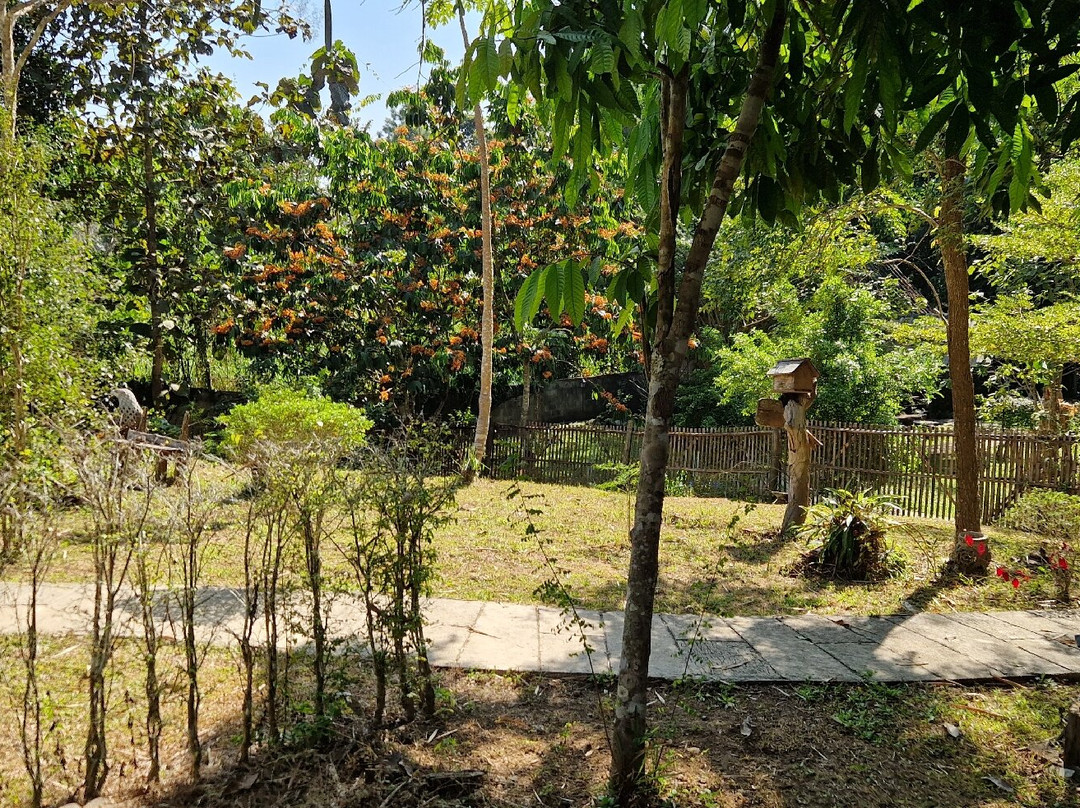 清道小屋主图