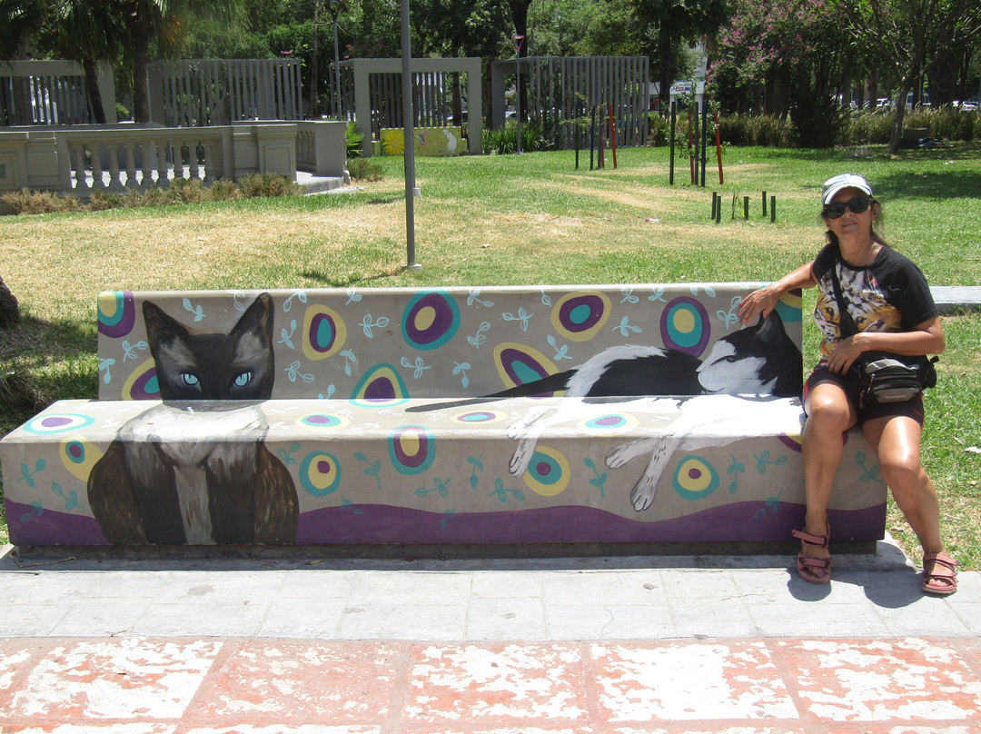 Plaza 25 de Mayo-雷西斯滕西亚必去景点