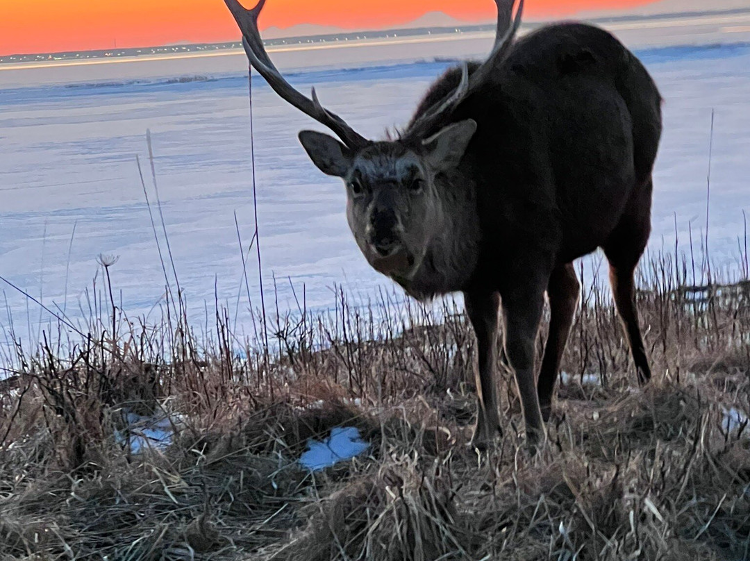 Notsuke Peninsula-别海町必去景点