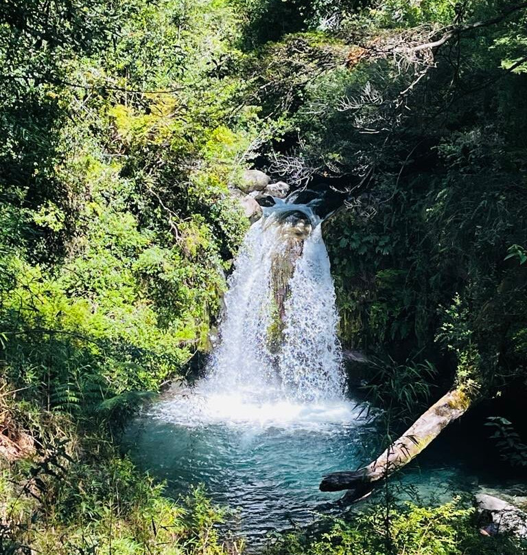 Parque Nacional Puyehue-Puyehue必去景点