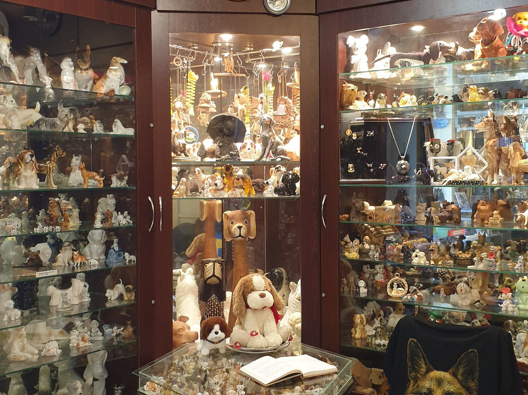 Dog Museum-帕兰加必去景点