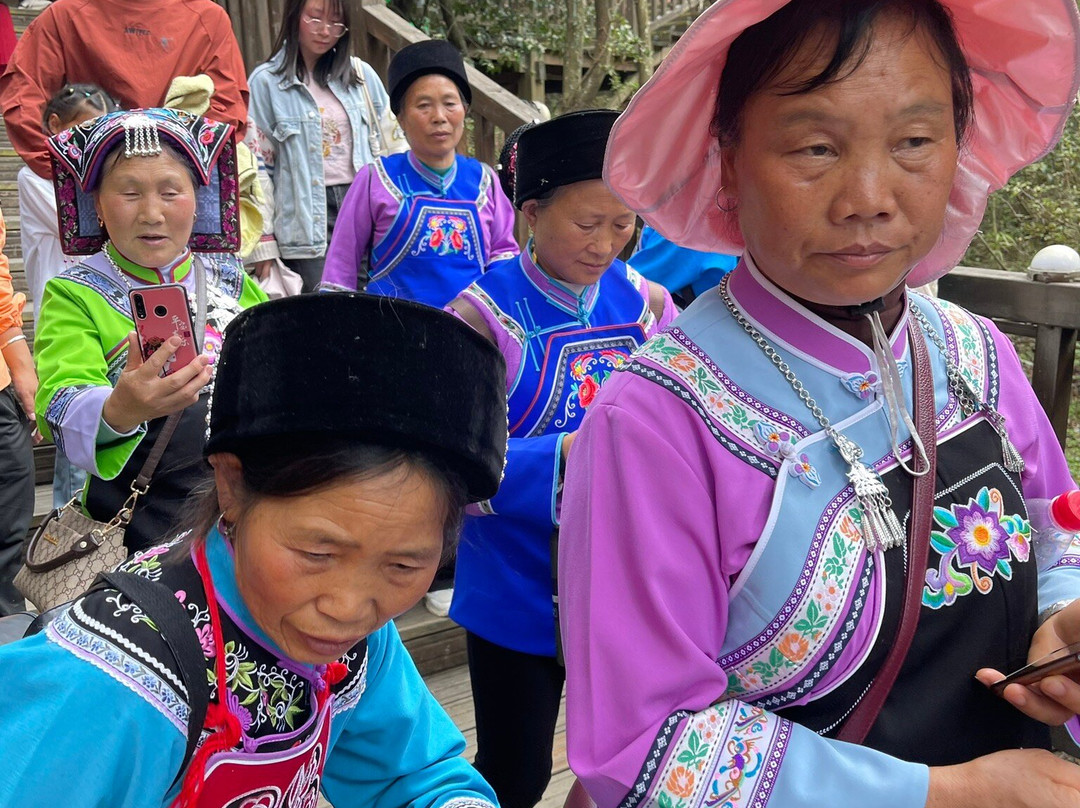 毕节森林公园景点图片