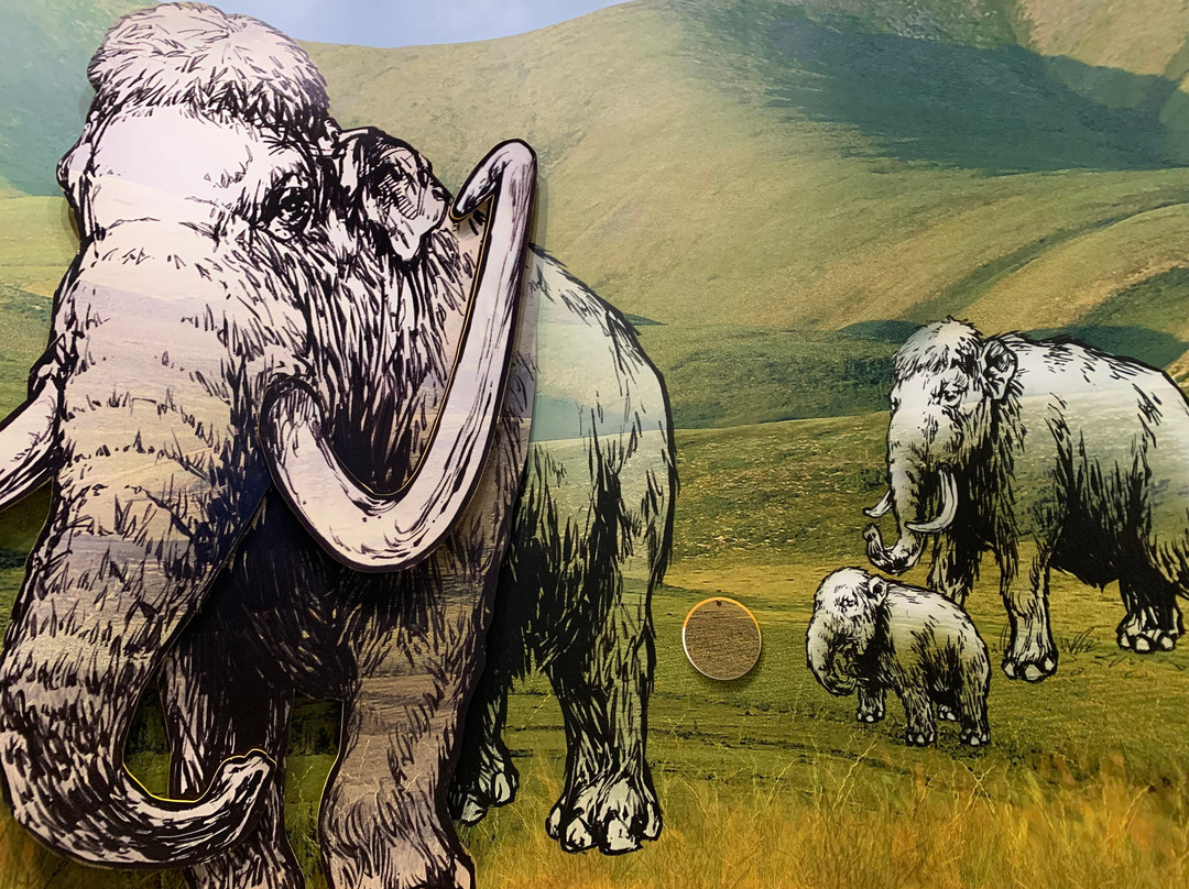 Yukon Beringia Interpretive Centre-白马市必去景点