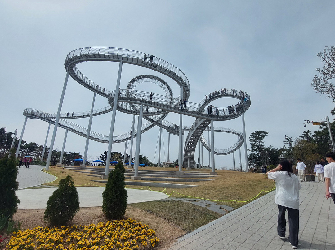 Hwano Park Space Walk-浦项市必去景点