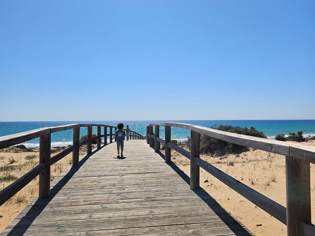 Playa El Campo景点图片