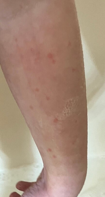 Lighthouse Inn主图