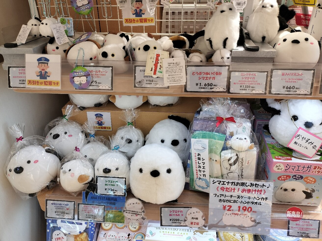ANA FESTA Asahikawa Airport