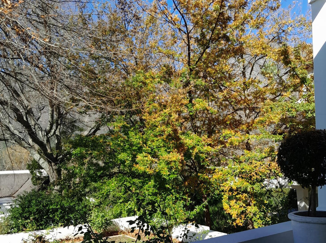 弗朗斯胡克温泉酒店-梦想度假村主图