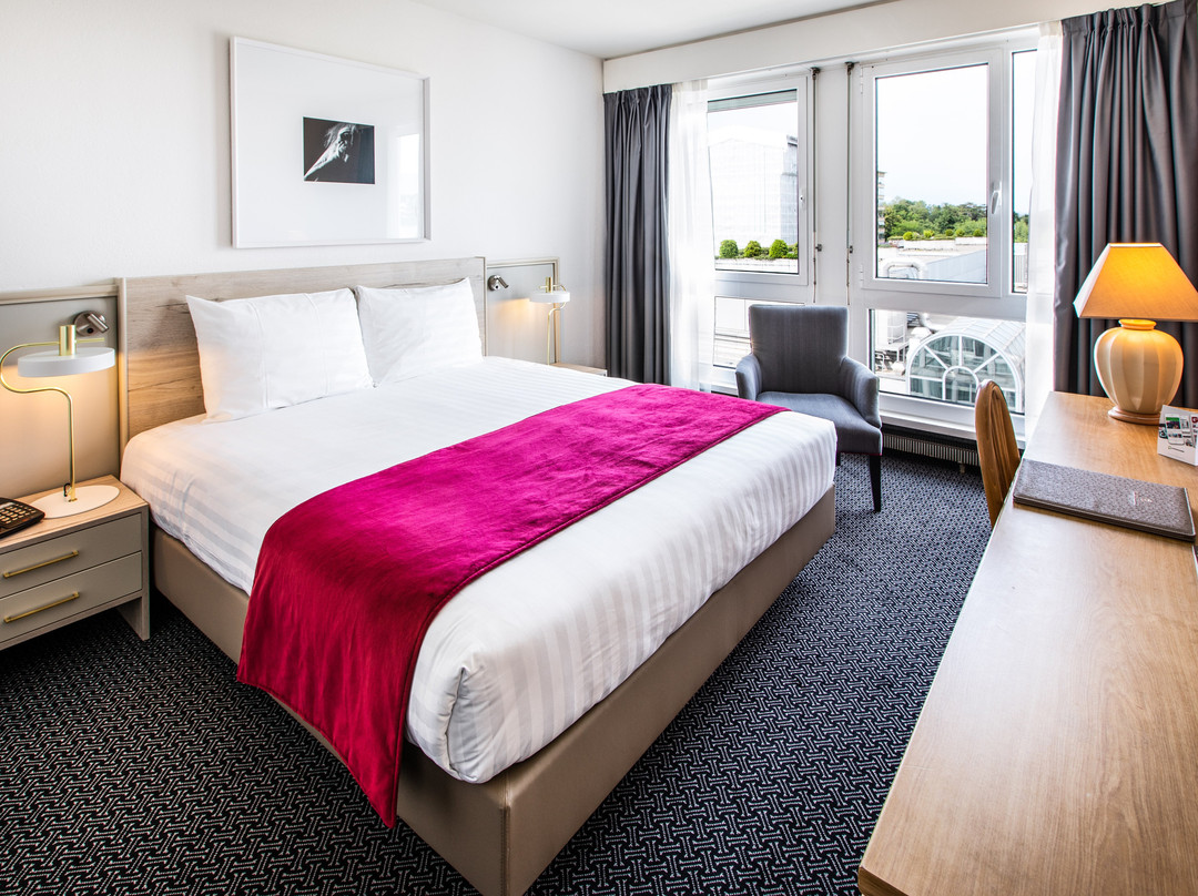 Vesenaz酒店住宿-Hôtel Drake Longchamp