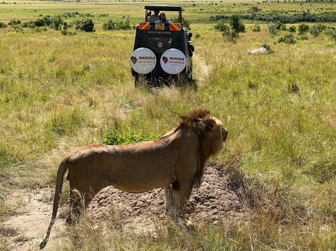 Lassic Africa Tours-内罗毕必去景点