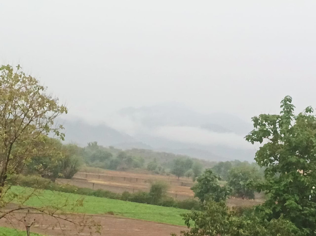 The Bhagwati Resort主图