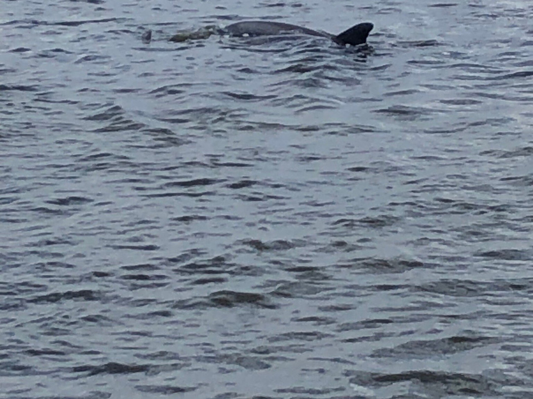 Salty Sam's Marina-迈尔斯堡海滩必去景点