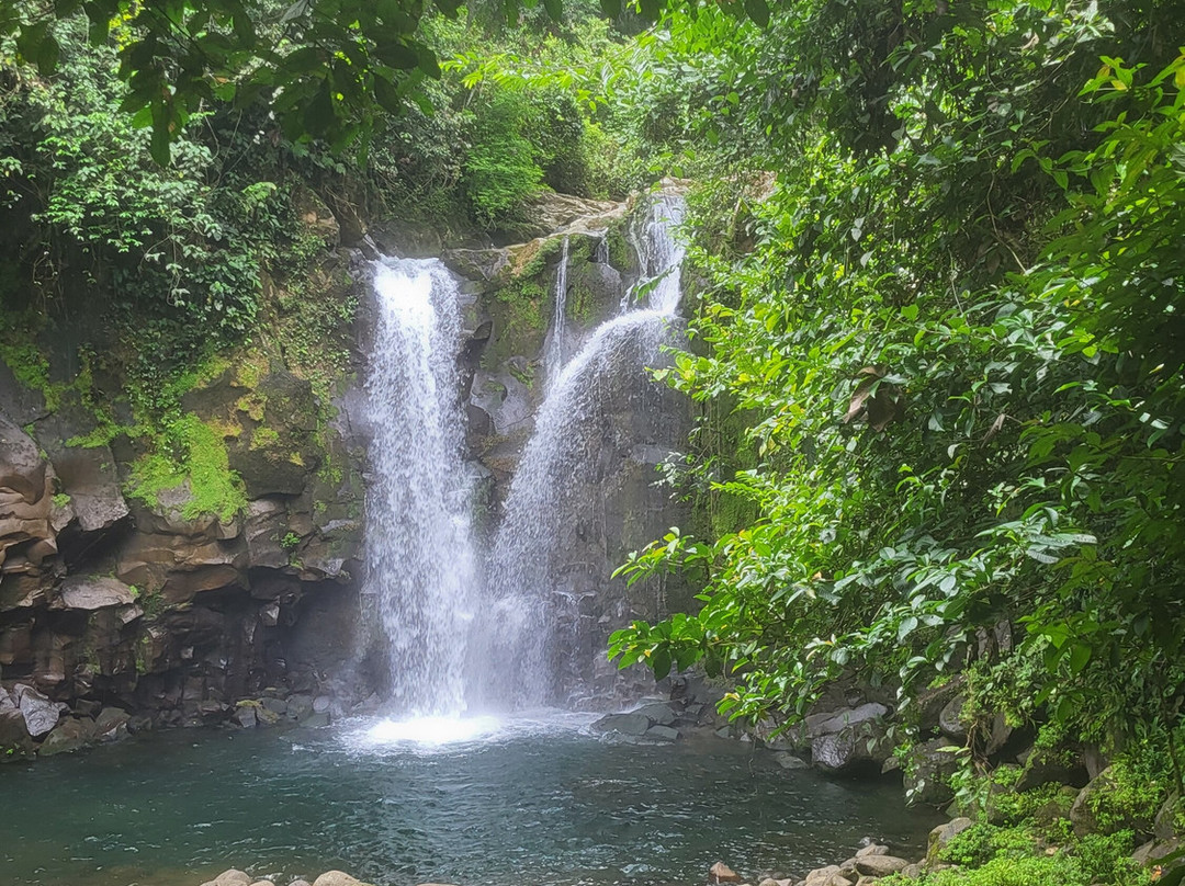 Figues Farm & Cataratas los Montes景点图片