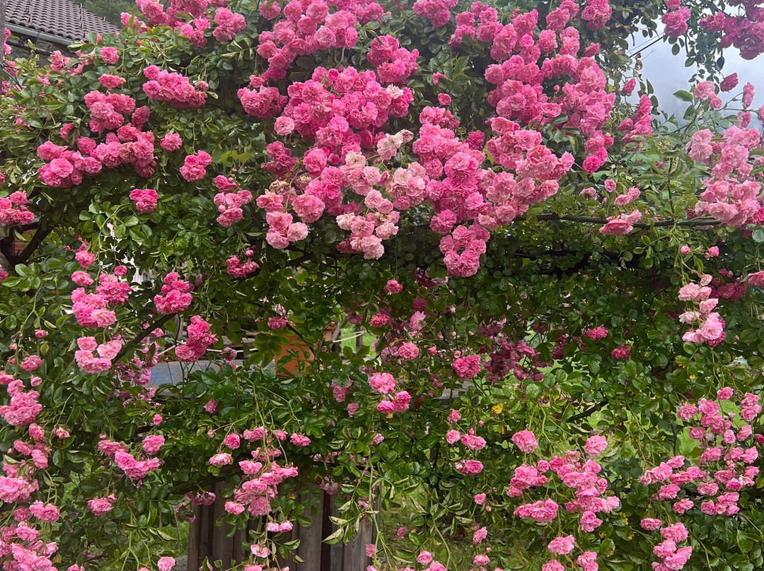 Agriturismo Pian dei Tass主图