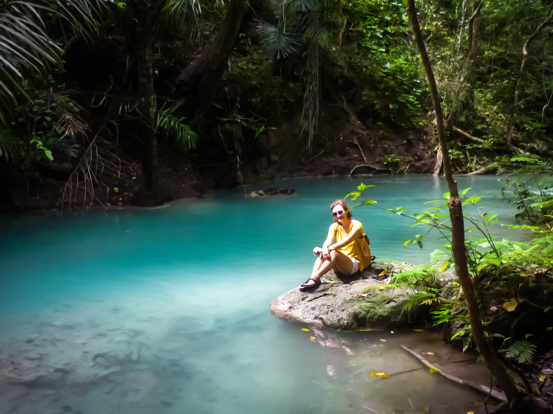 Sumbawa Whale Shark Tour-Sumbawa Besar必去景点