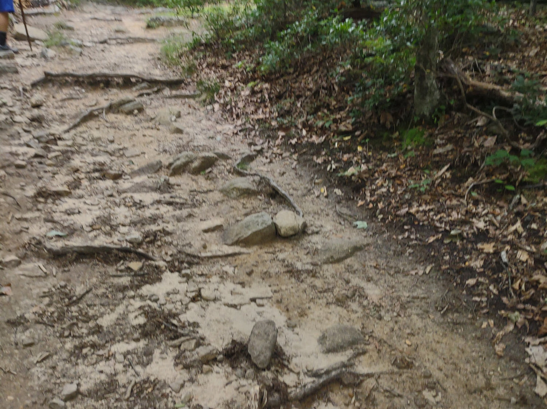 McAfee Knob-Catawba必去景点