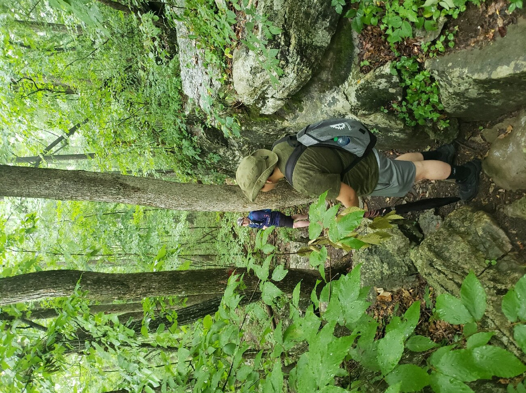 Walls of Jericho-Estillfork必去景点