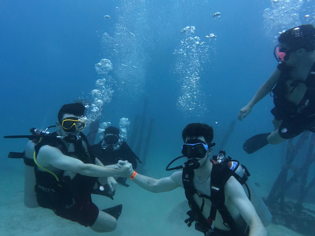 Mojo Divers-涛岛必去景点