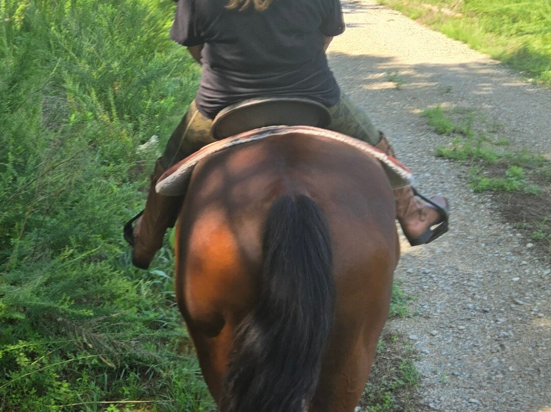 Two River Trails-Providence Forge必去景点