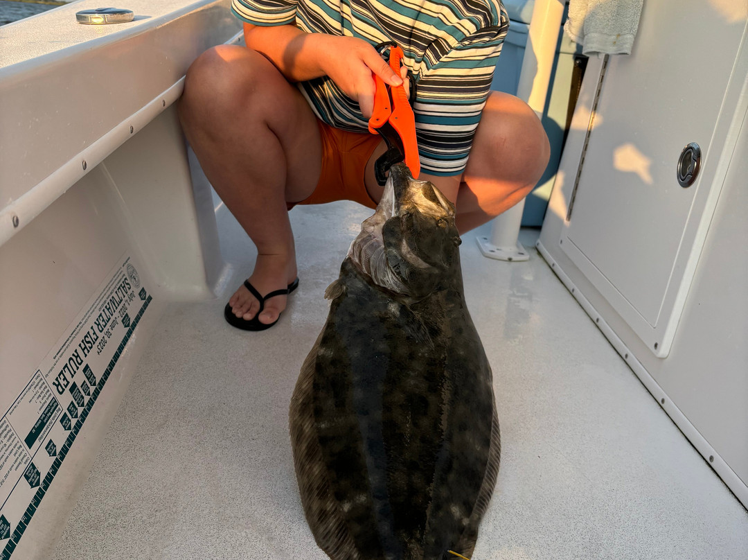 Fontaine Charters-埃迪斯托艾兰必去景点