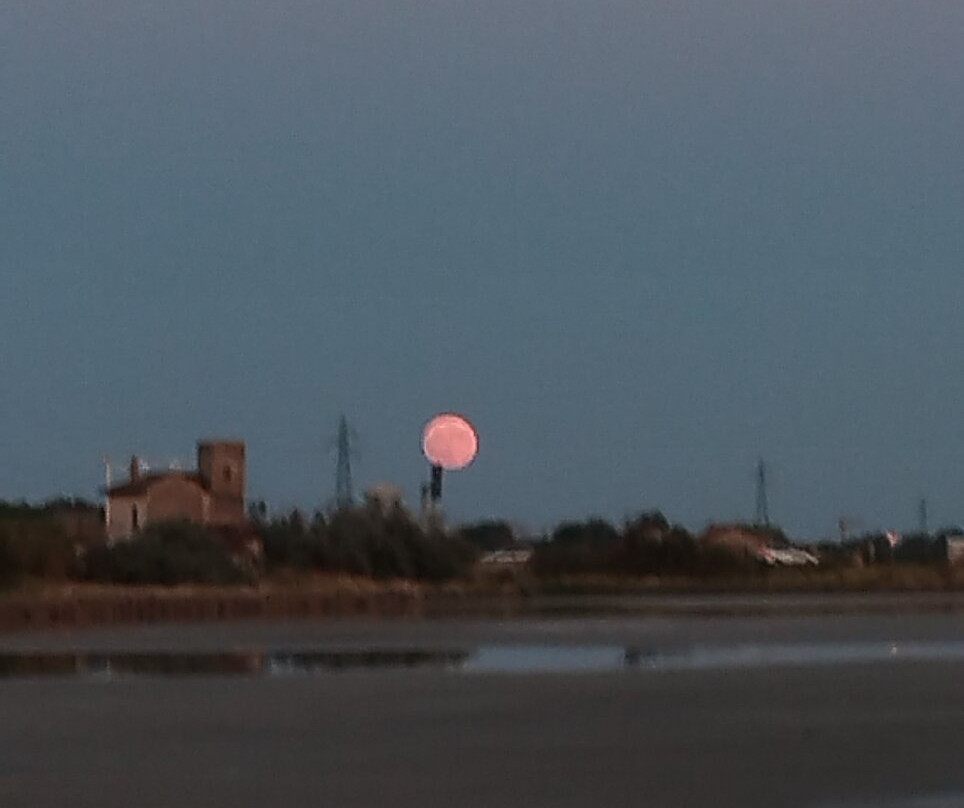 Parco della Salina di Cervia景点图片