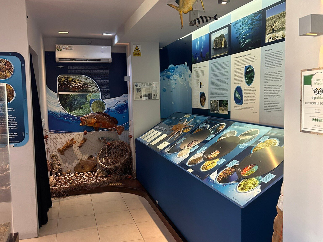 Dwejra Marine Environmental Education Centre-圣劳伦斯必去景点