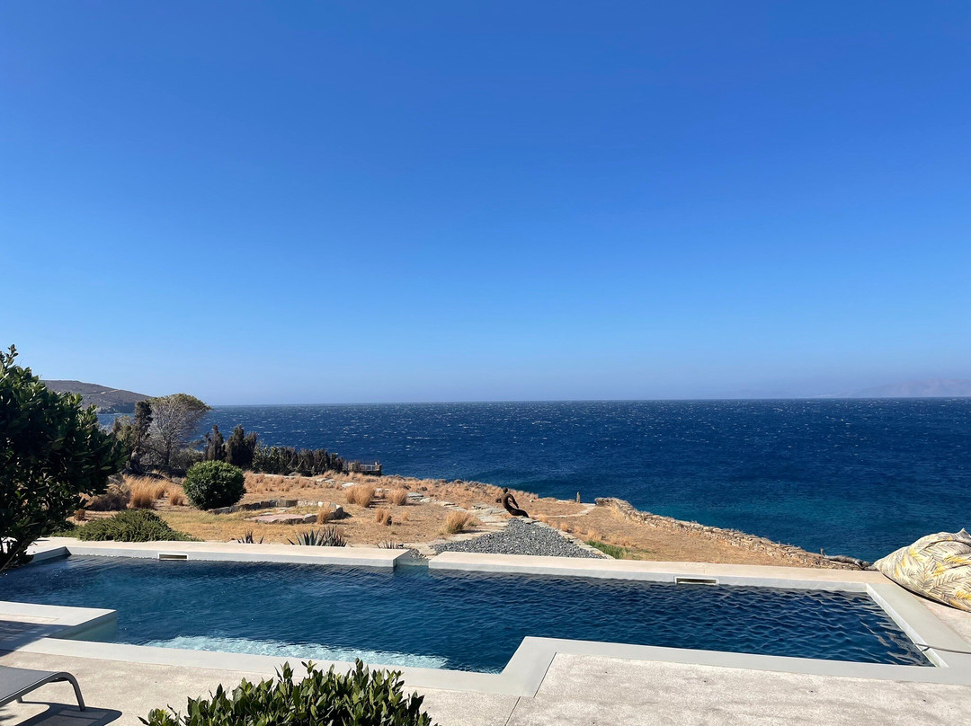 Archipelagotinos主图