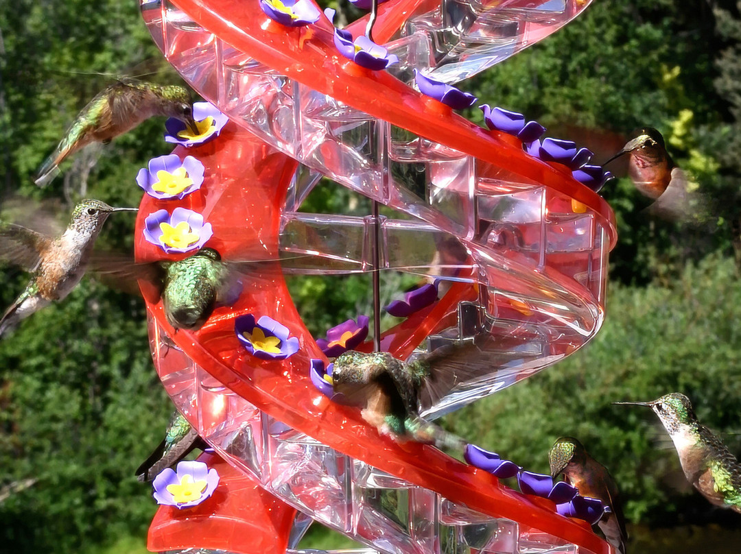 Monarch Mountain Lodge主图