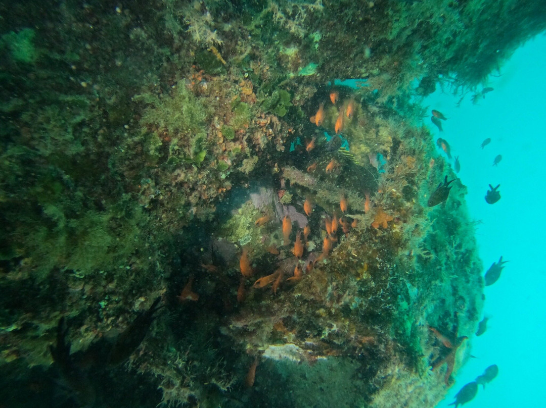 Buceo Mojacar景点图片