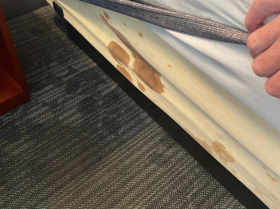 Courtyard by Marriott Monroe Airport主图