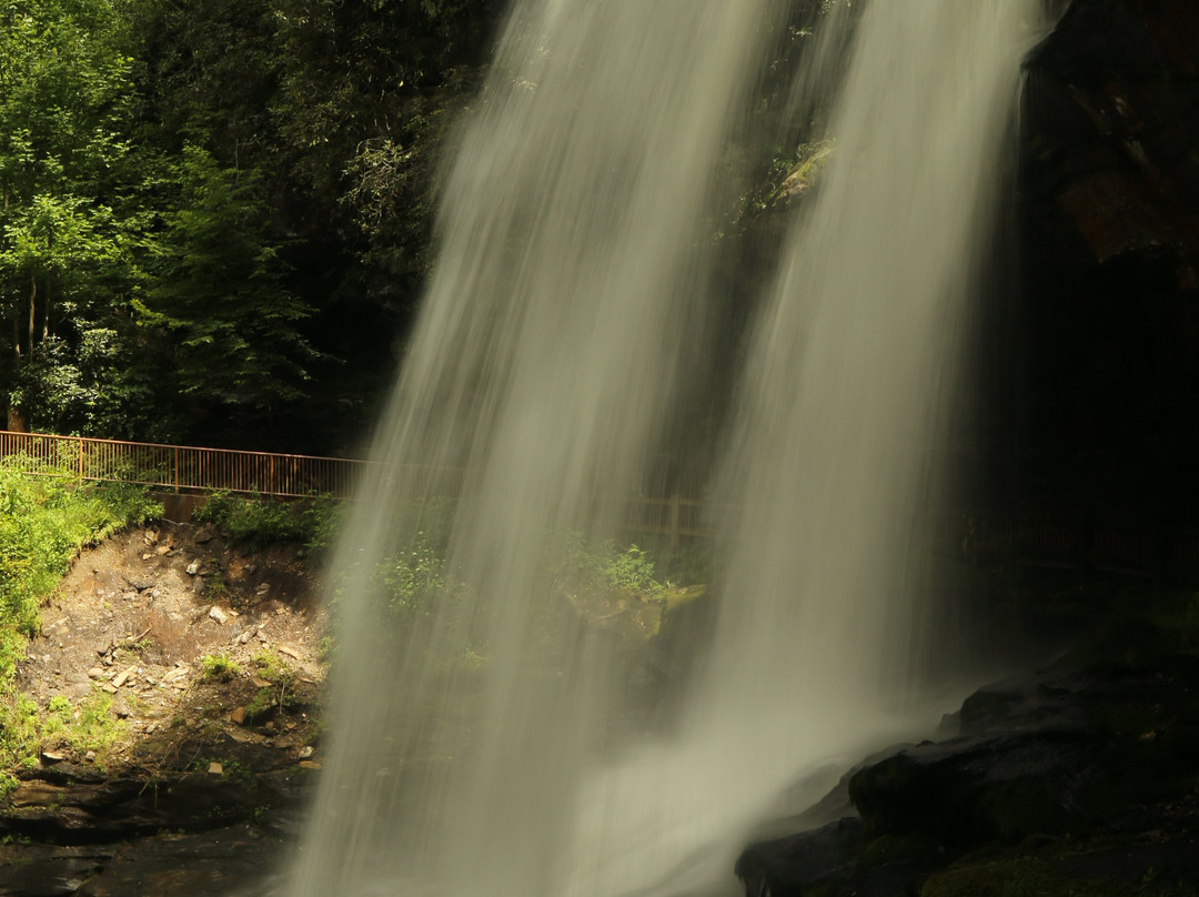 Brook Trout Inn主图